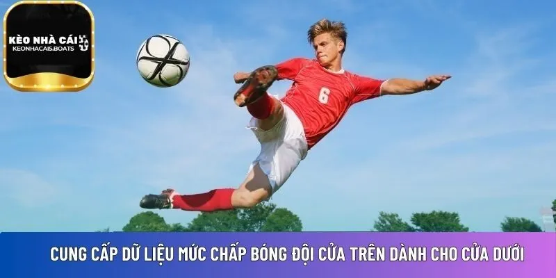 Kèo chấp score box